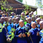 Chepalungu Forest Stewardship Initiative (CFSI)